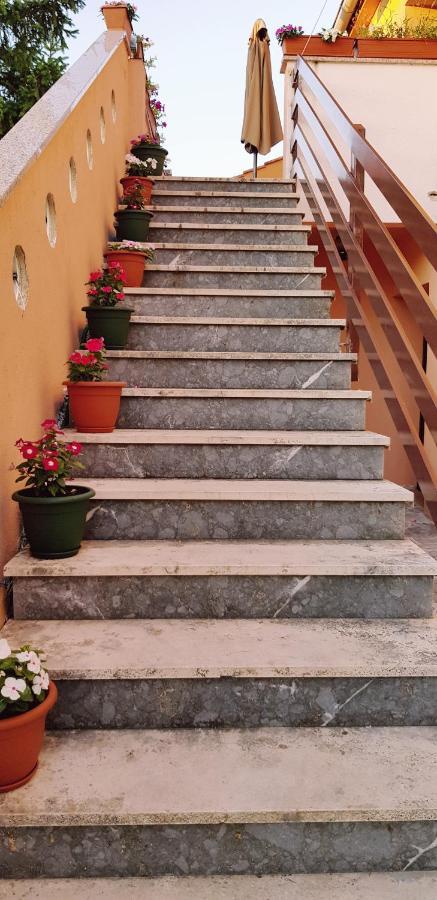 Apartmani Zem, Krk Krk Town Εξωτερικό φωτογραφία